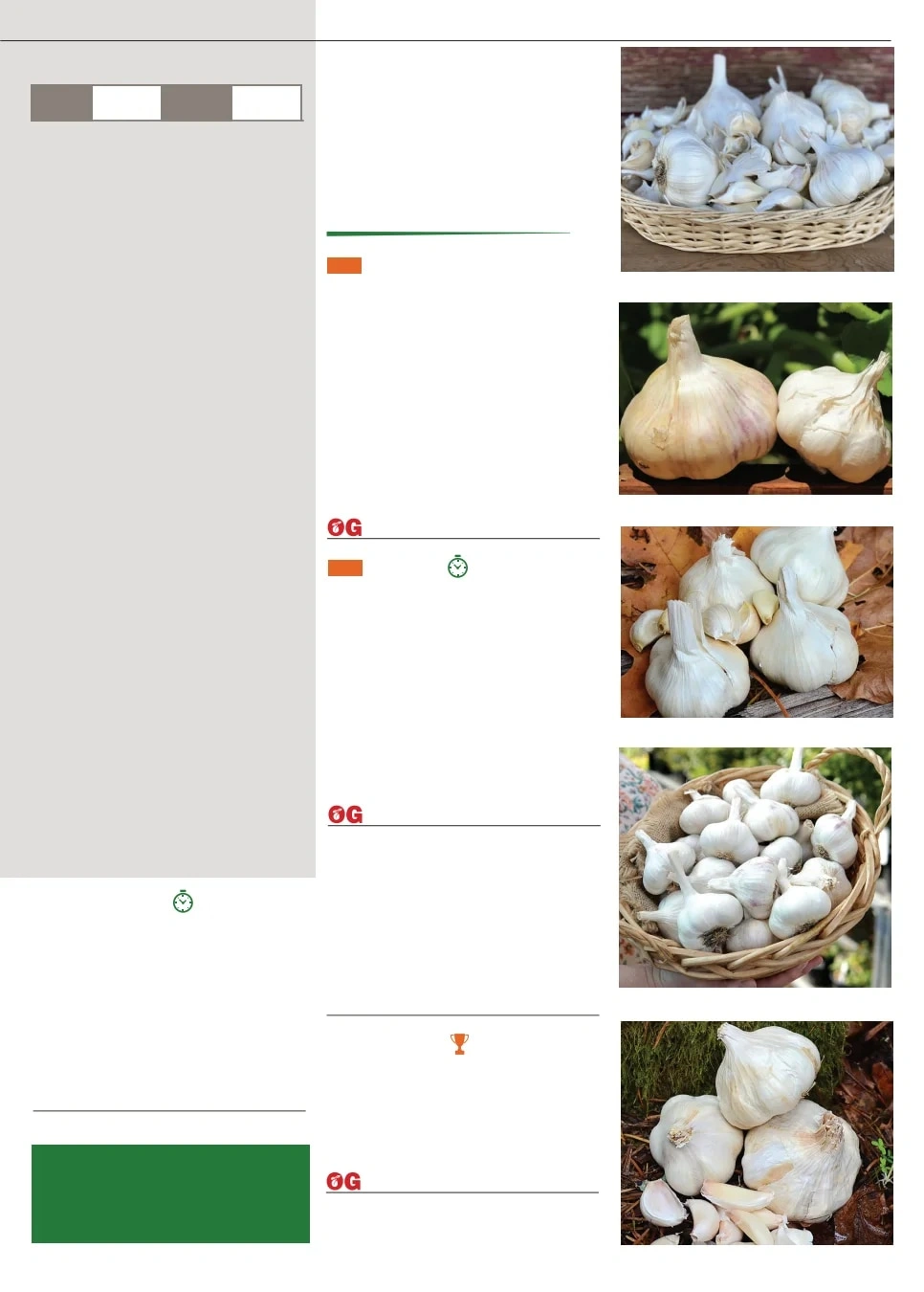 Territorial Seed flyer page 17