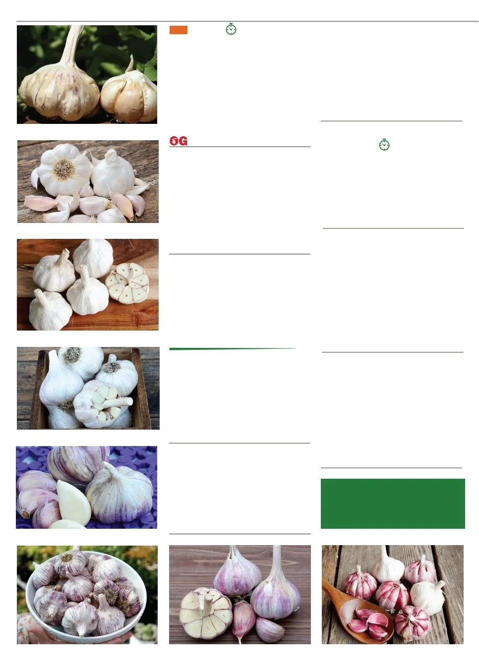 Territorial Seed flyer page 18