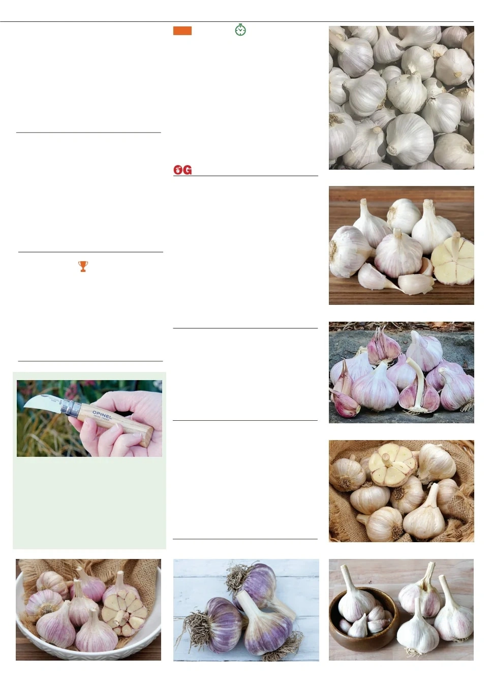 Territorial Seed flyer page 19