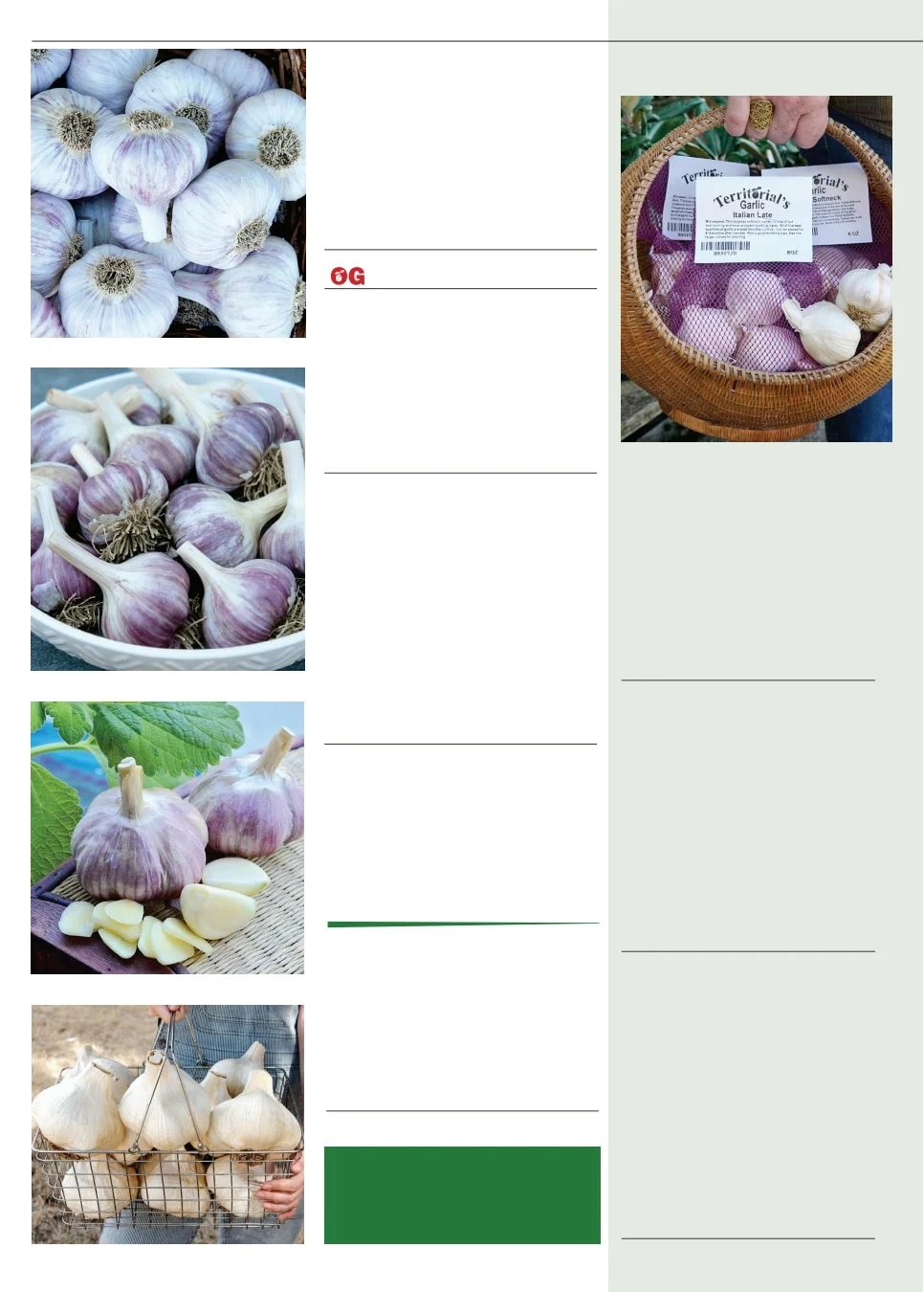 Territorial Seed flyer page 20