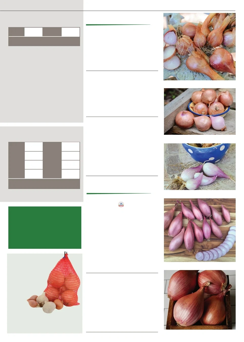 Territorial Seed flyer page 21