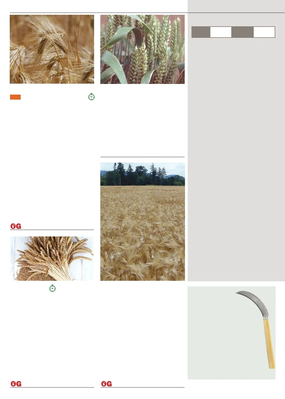 Territorial Seed flyer page 22