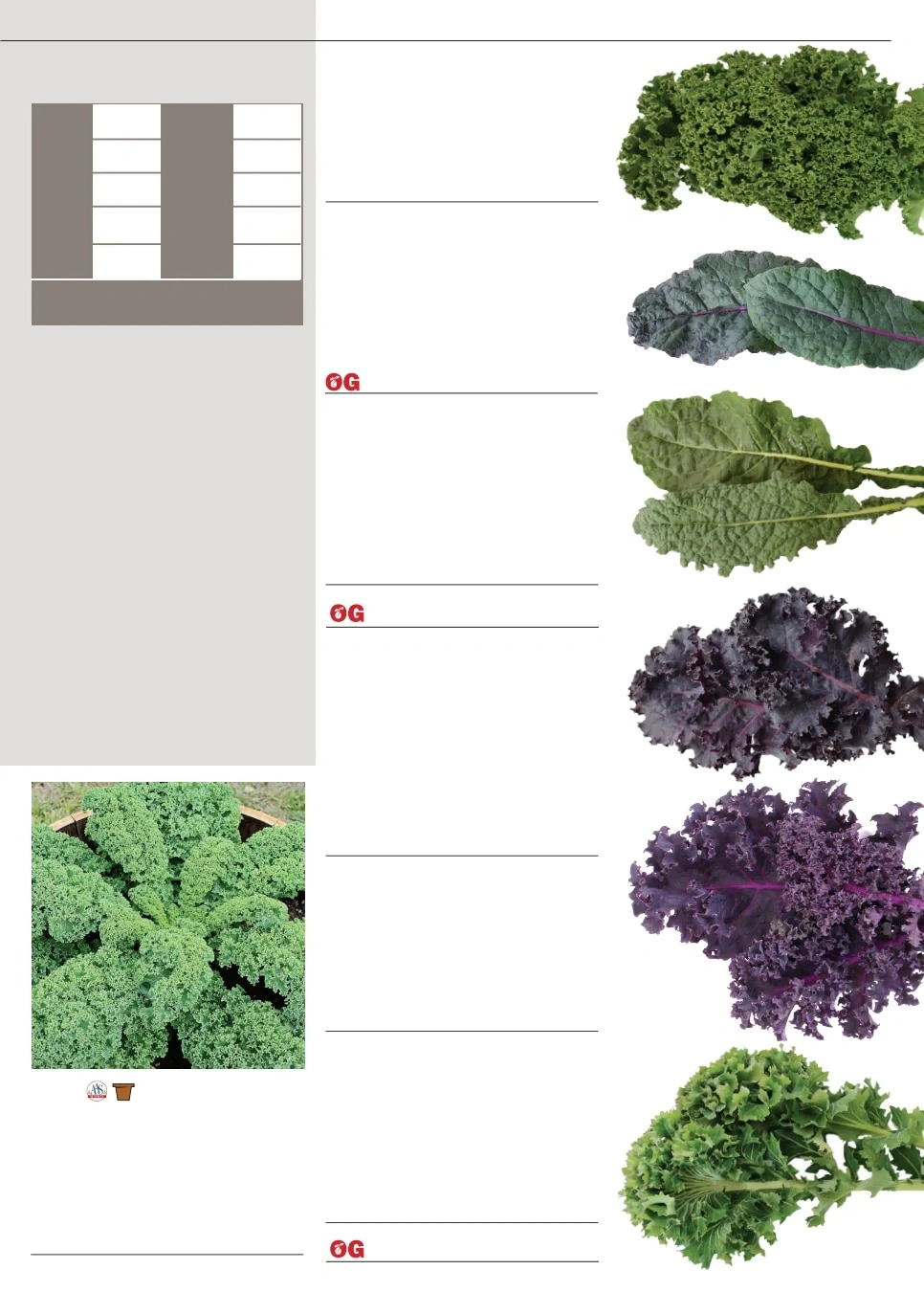Territorial Seed flyer page 23