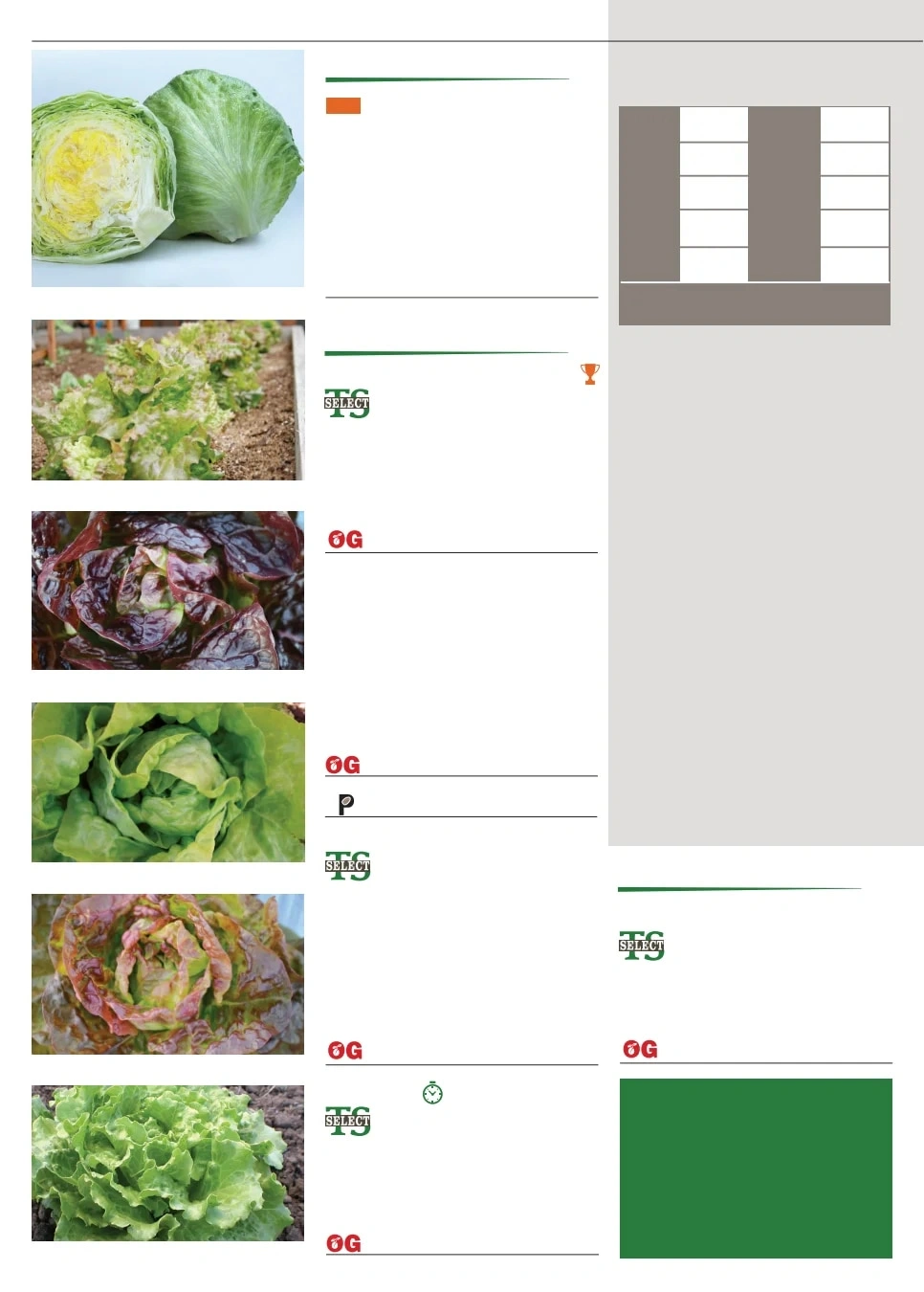 Territorial Seed flyer page 26