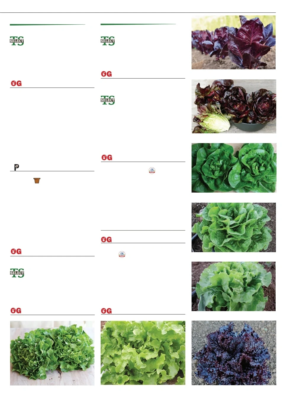 Territorial Seed flyer page 27