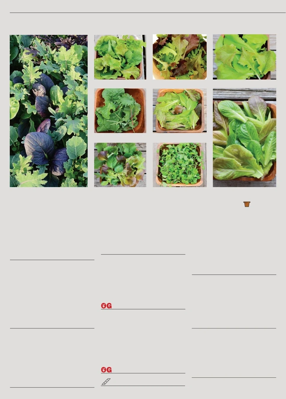 Territorial Seed flyer page 28