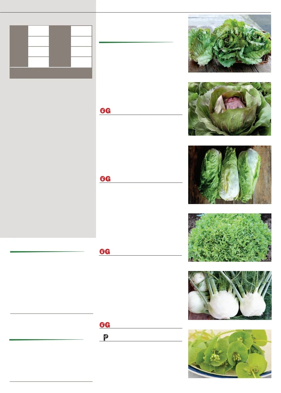 Territorial Seed flyer page 29