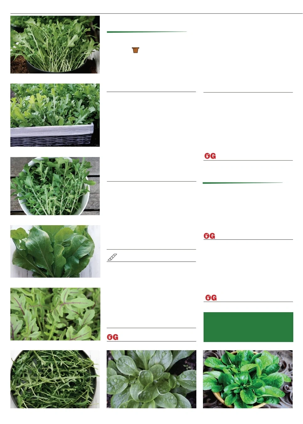 Territorial Seed flyer page 30