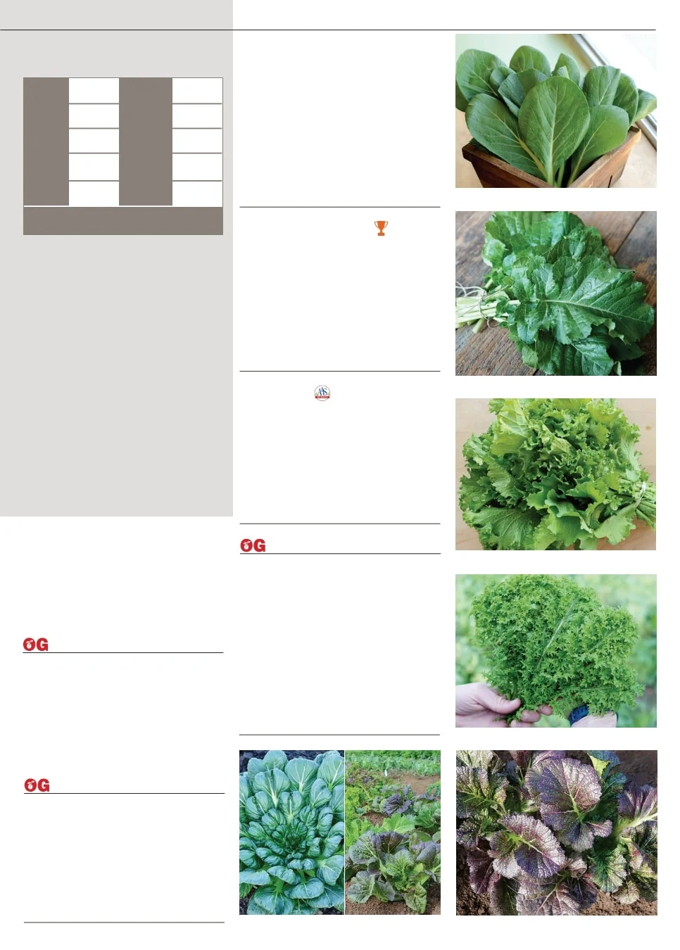 Territorial Seed flyer page 31