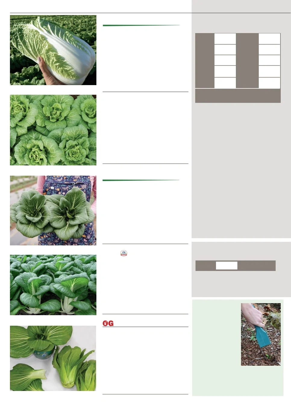 Territorial Seed flyer page 32