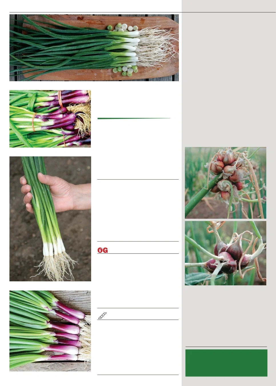 Territorial Seed flyer page 34