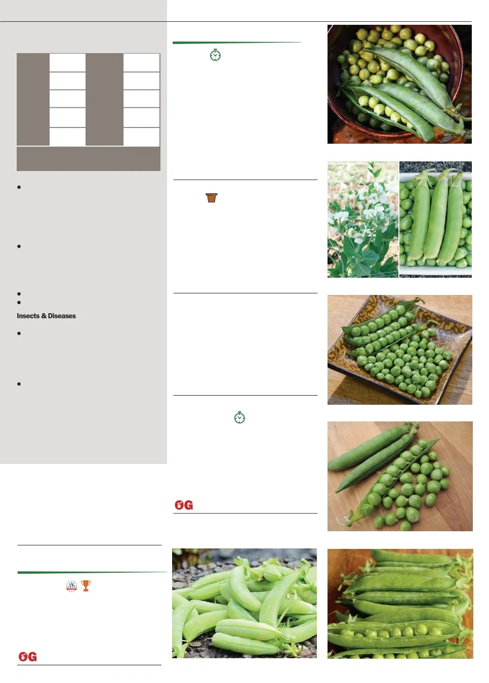 Territorial Seed flyer page 35