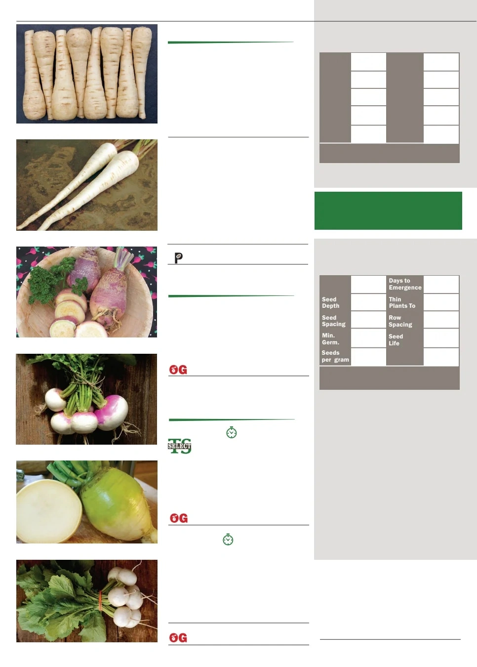 Territorial Seed flyer page 38