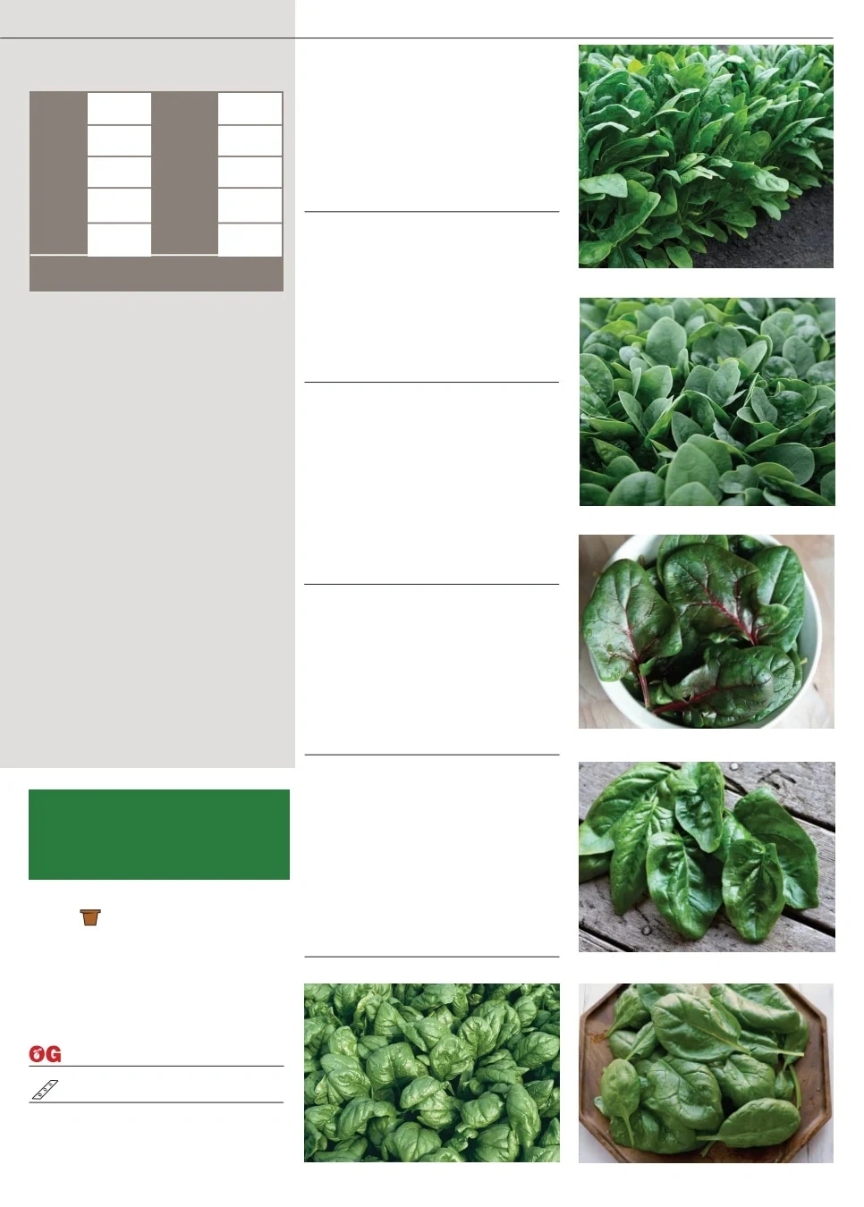 Territorial Seed flyer page 39