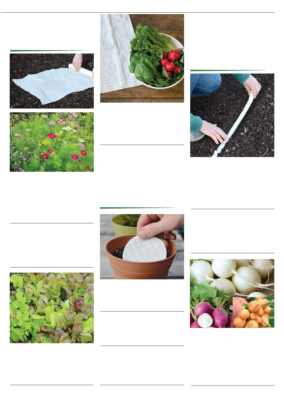 Territorial Seed flyer page 41