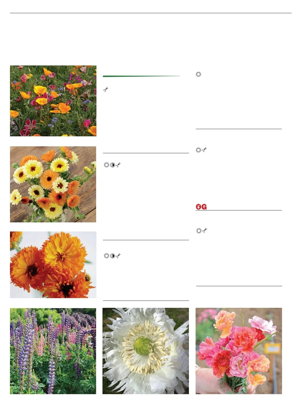 Territorial Seed flyer page 42