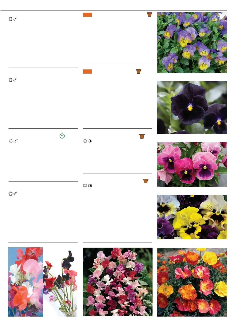Territorial Seed flyer page 43
