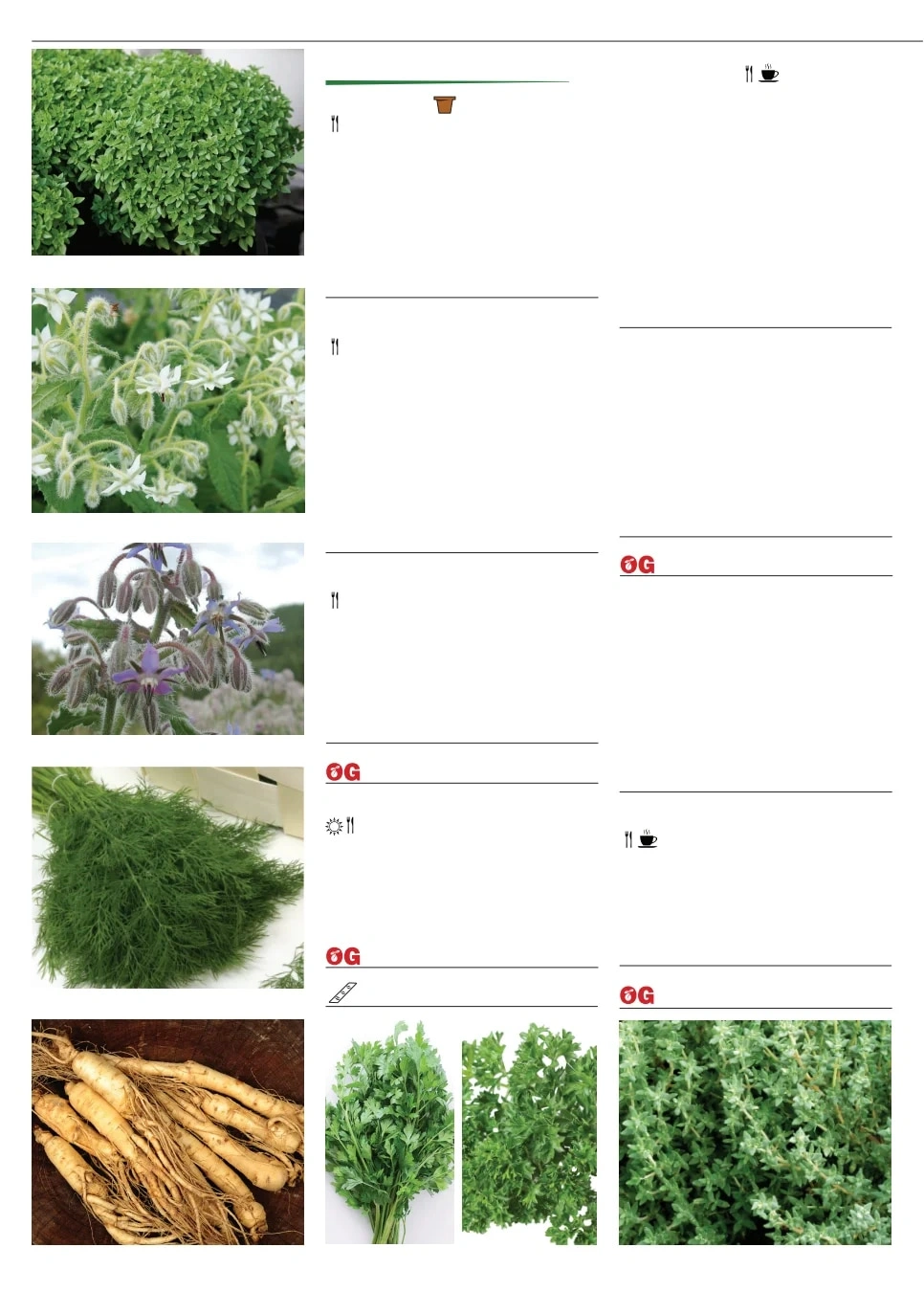 Territorial Seed flyer page 44