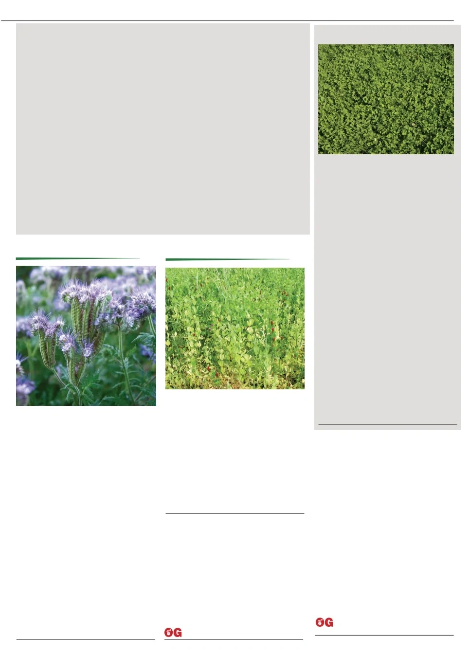 Territorial Seed flyer page 45