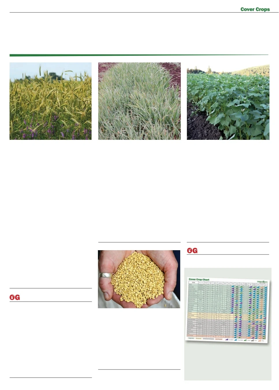 Territorial Seed flyer page 46