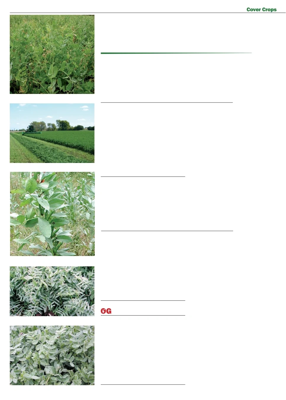 Territorial Seed flyer page 48
