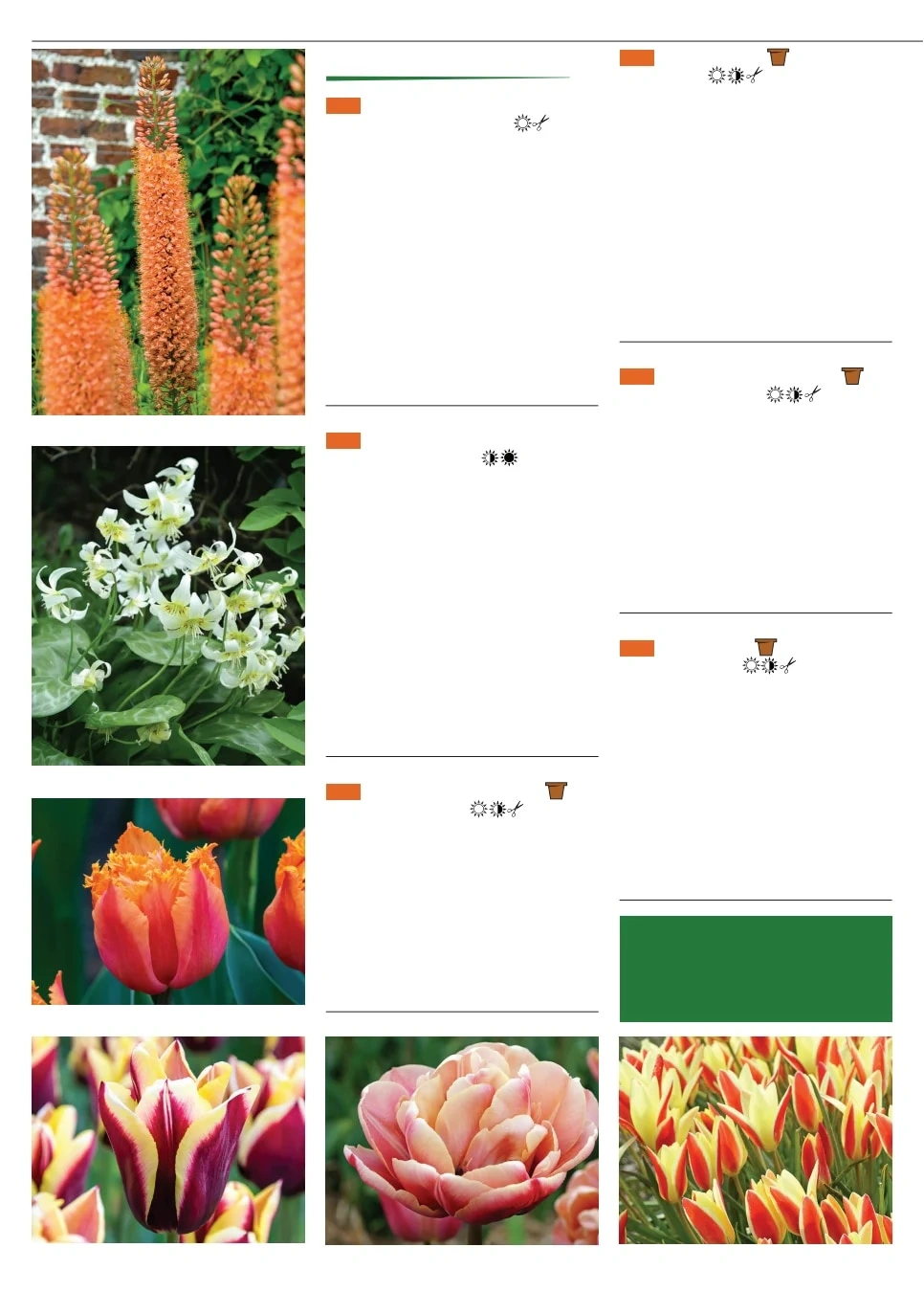 Territorial Seed flyer page 58