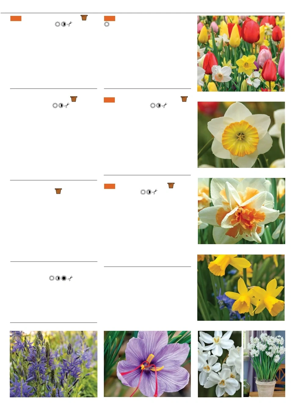 Territorial Seed flyer page 59