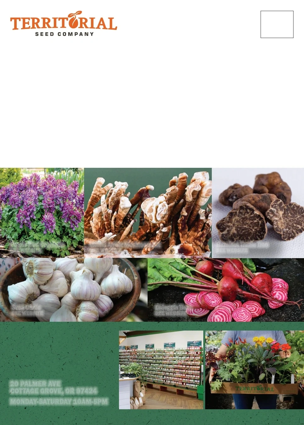 Territorial Seed flyer page 60