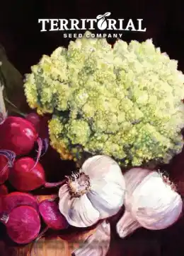 Territorial Seed Fall and Winter Catalog Weekly Ad