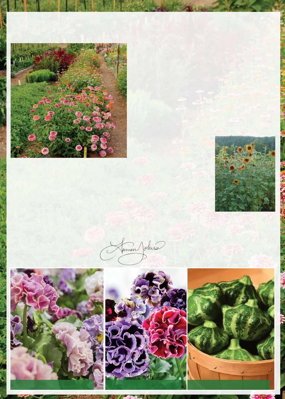 Territorial Seed flyer page 2