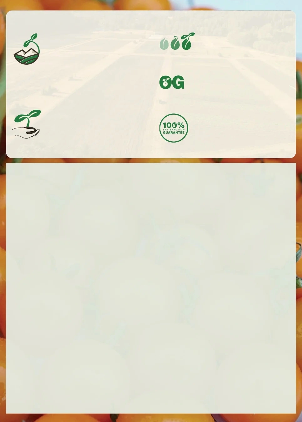 Territorial Seed flyer page 5