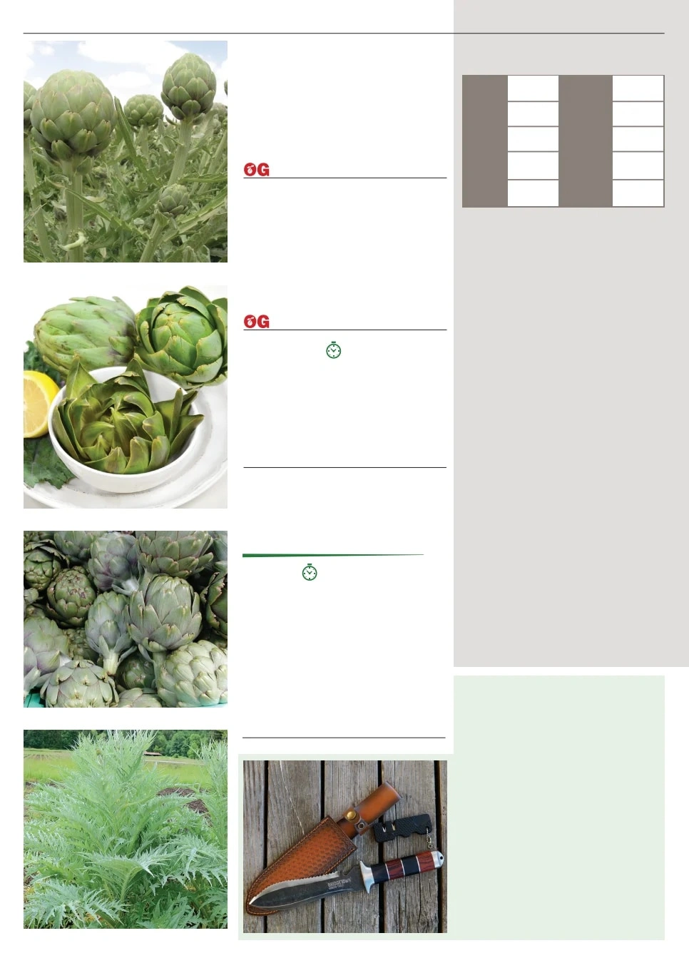 Territorial Seed flyer page 6