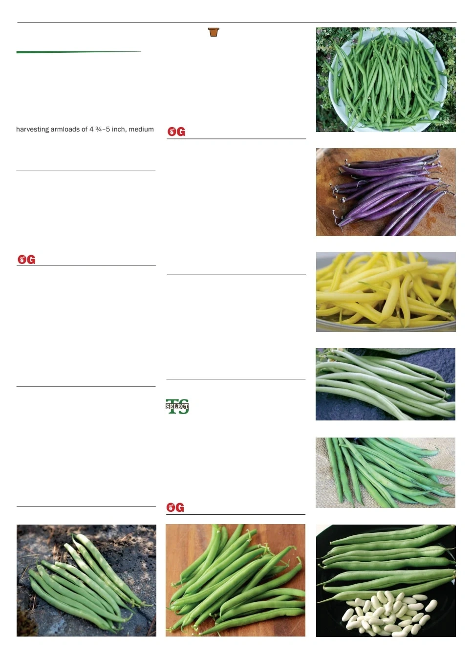 Territorial Seed flyer page 9