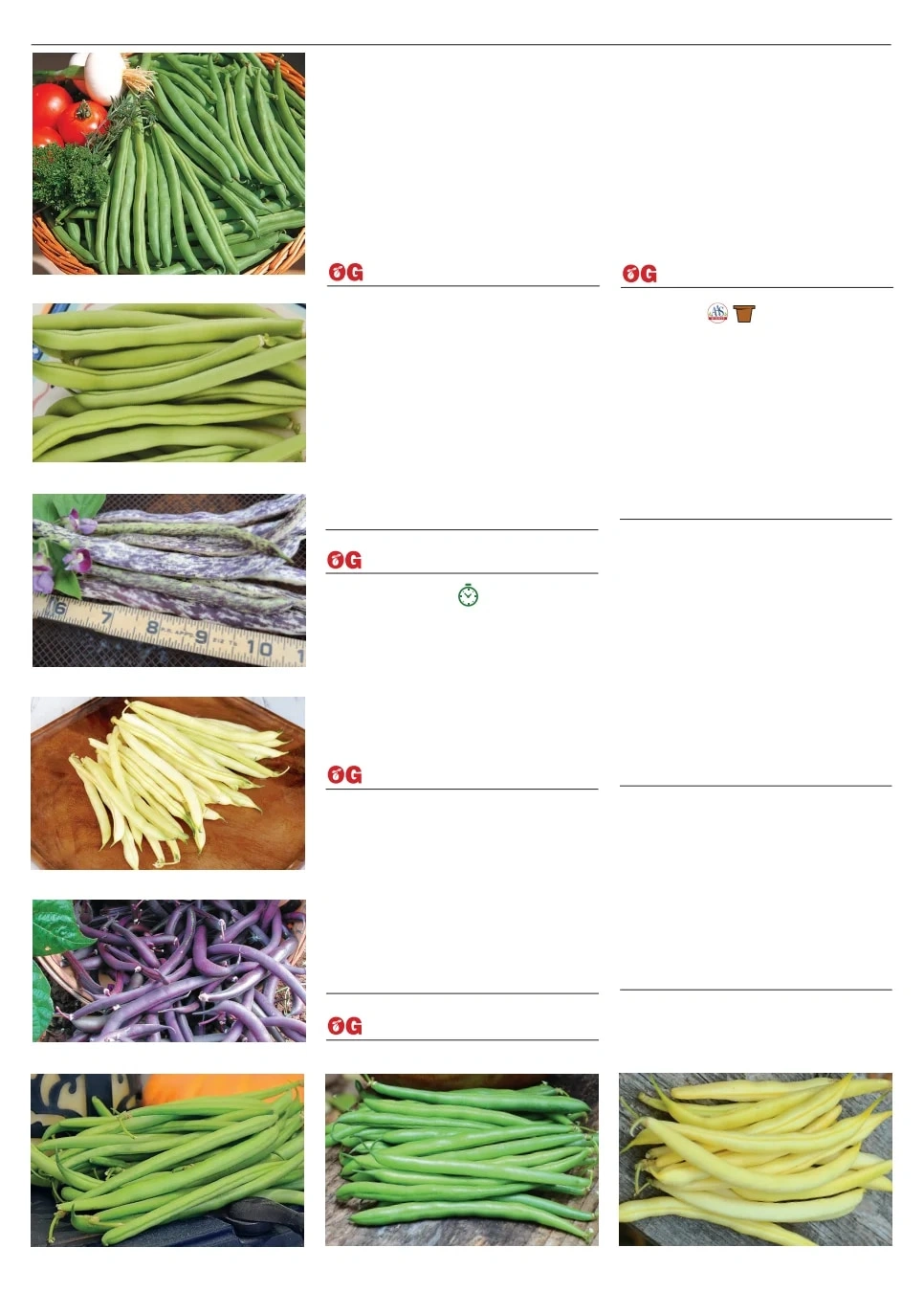 Territorial Seed flyer page 10
