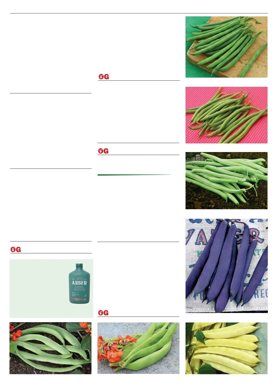 Territorial Seed flyer page 11