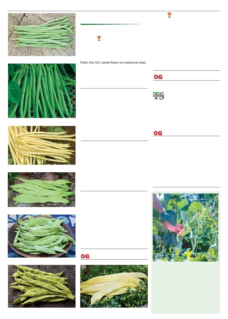 Territorial Seed flyer page 12