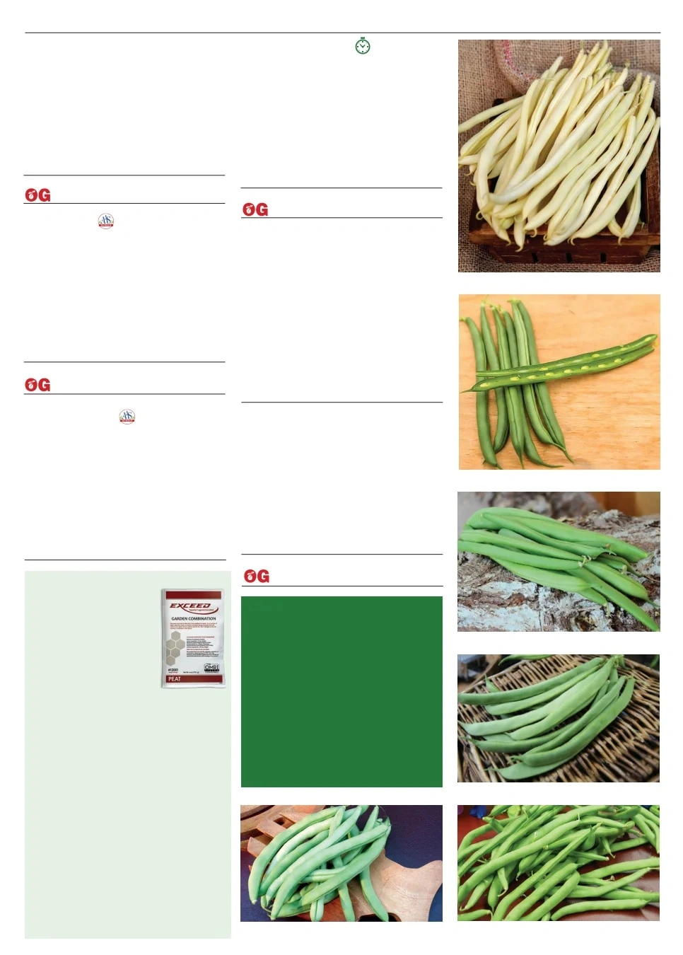 Territorial Seed flyer page 13