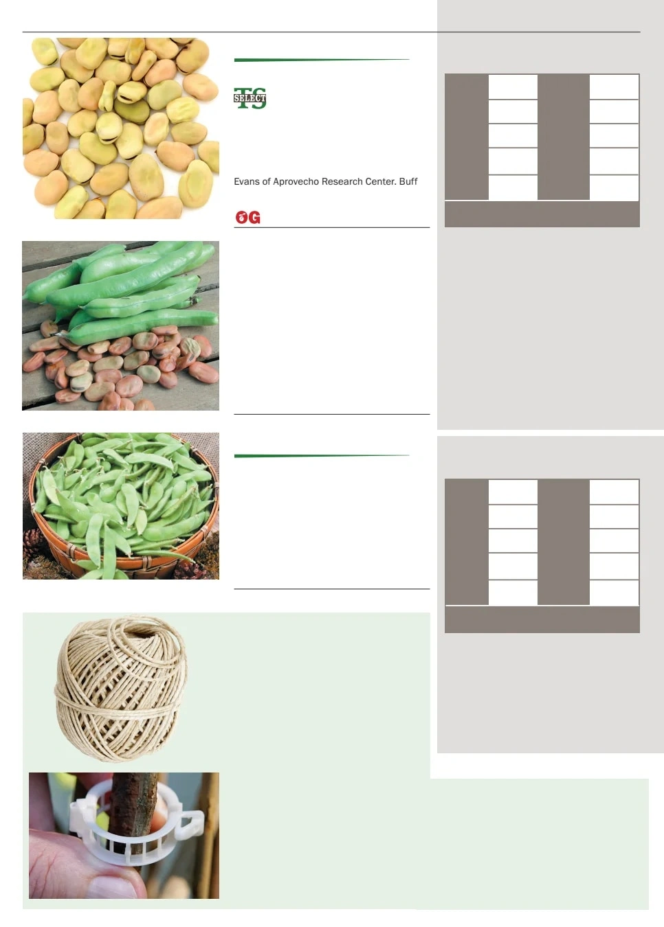 Territorial Seed flyer page 14