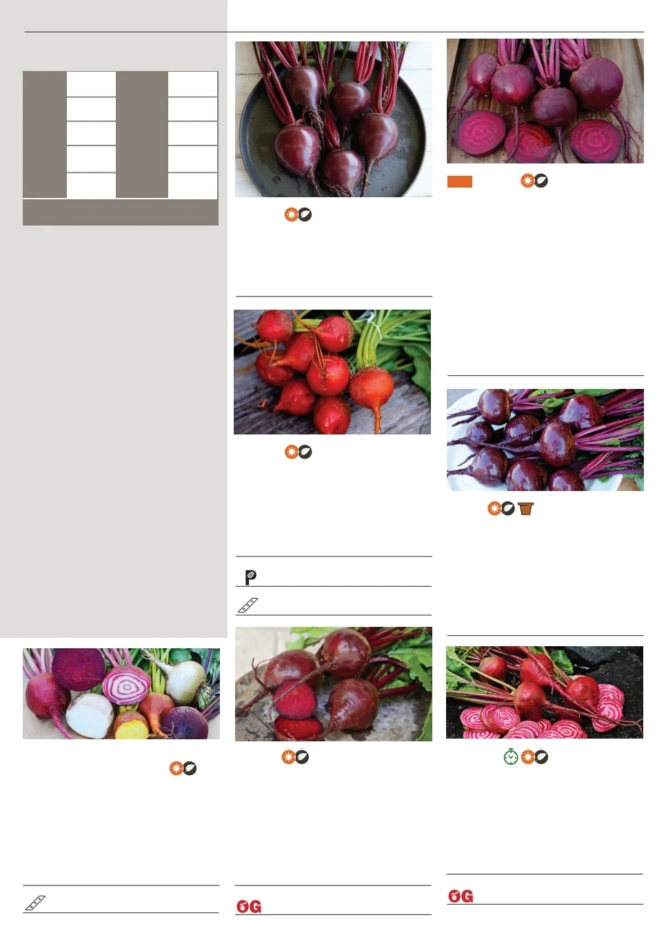 Territorial Seed flyer page 15