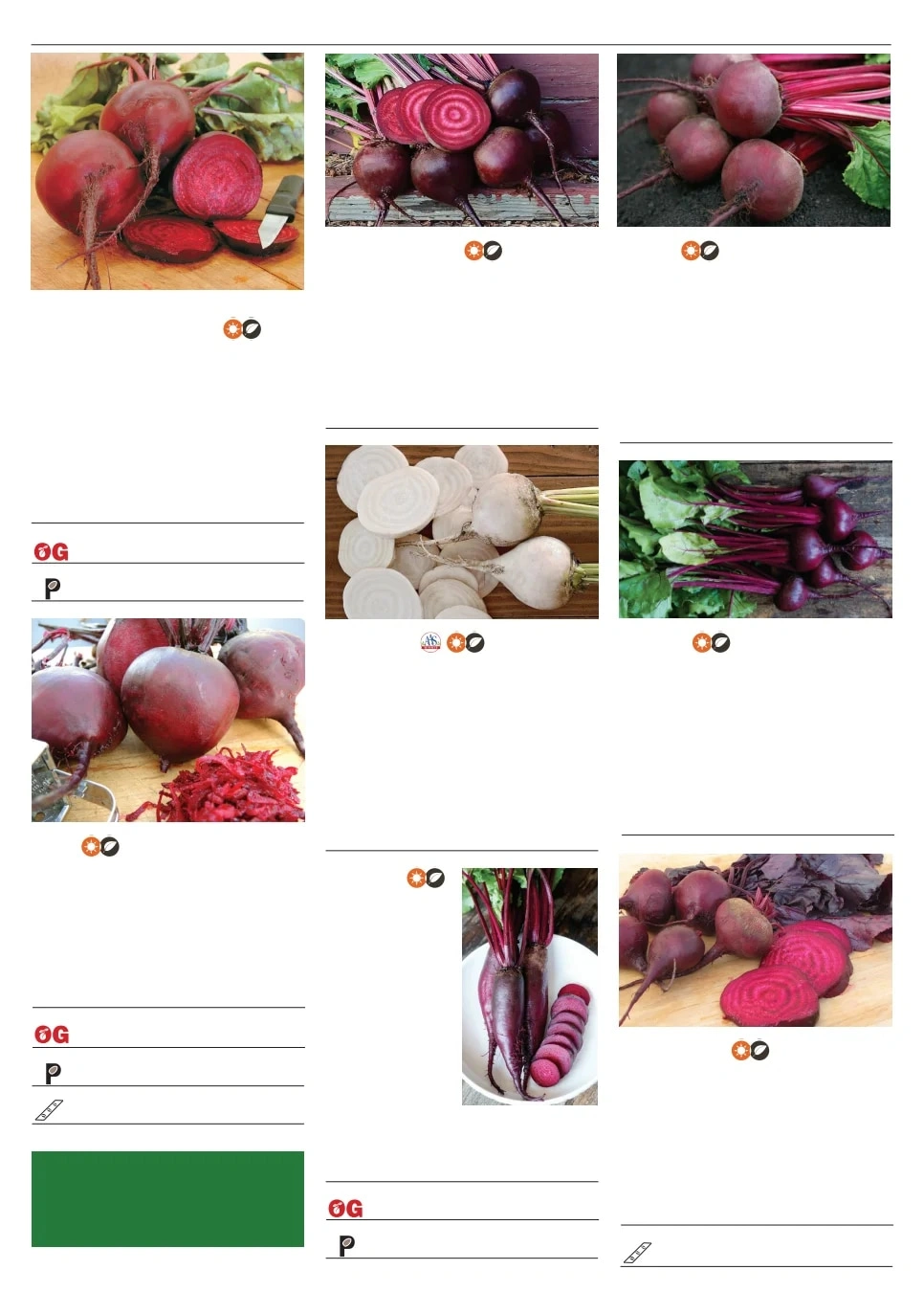 Territorial Seed flyer page 16