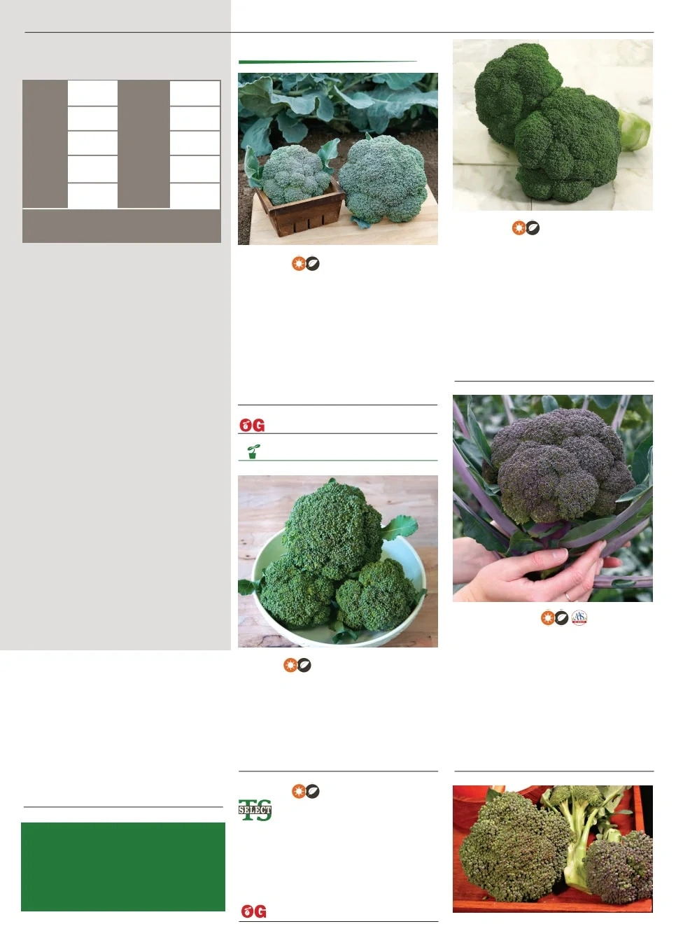 Territorial Seed flyer page 17