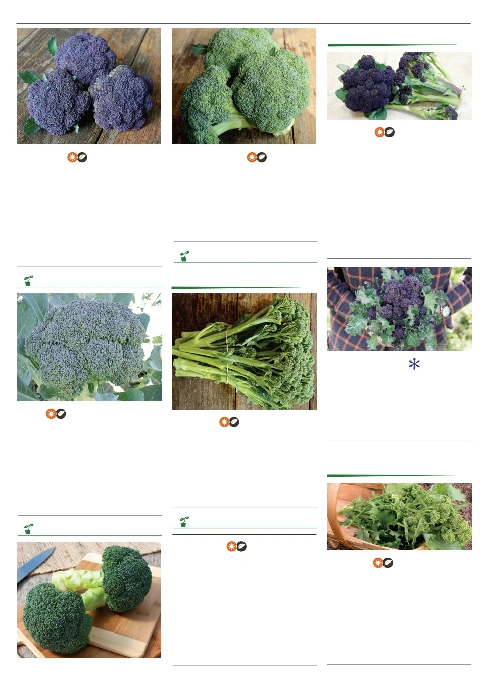 Territorial Seed flyer page 18