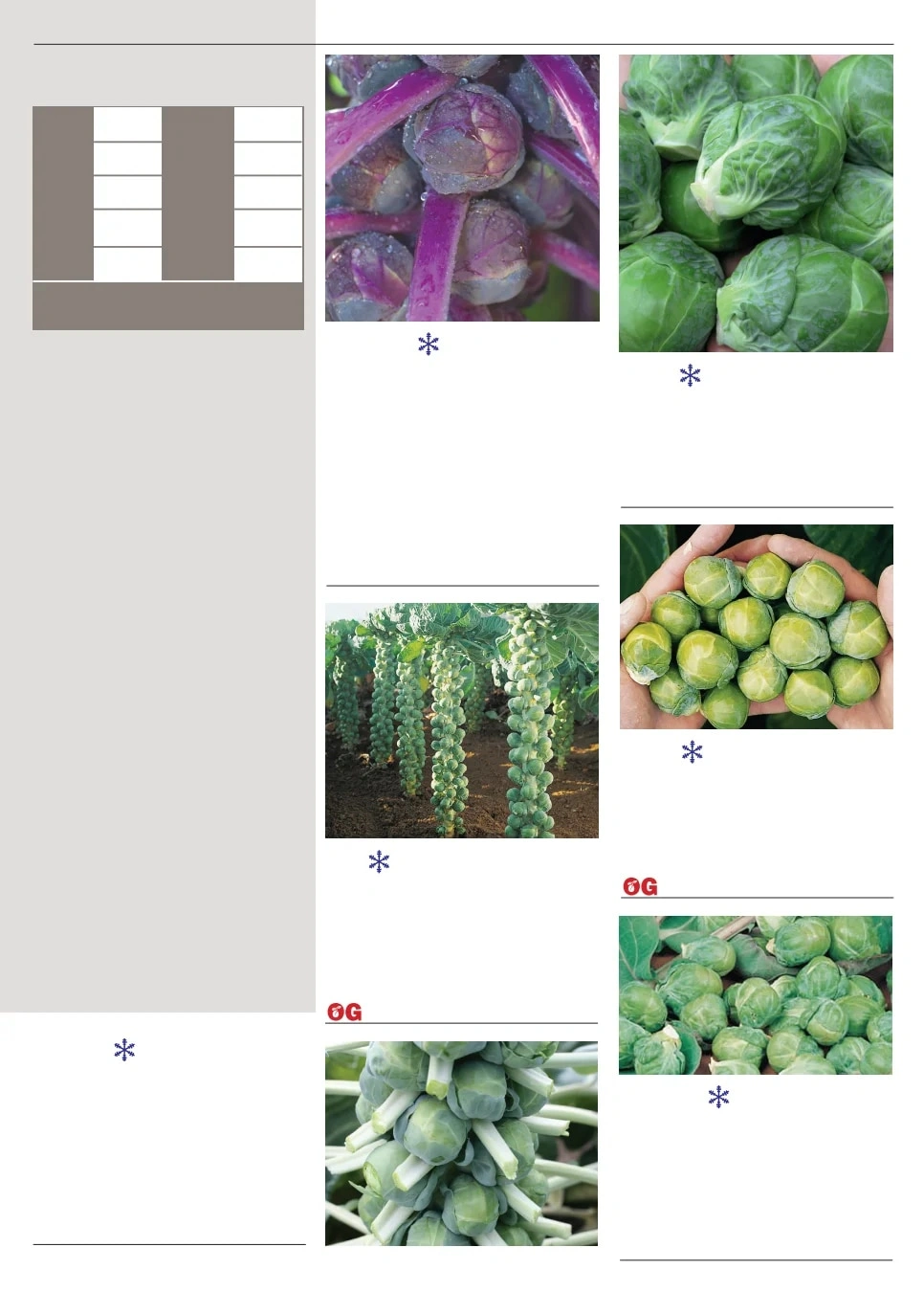 Territorial Seed flyer page 19