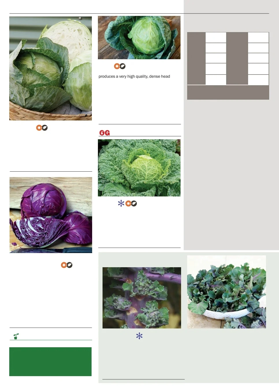 Territorial Seed flyer page 20