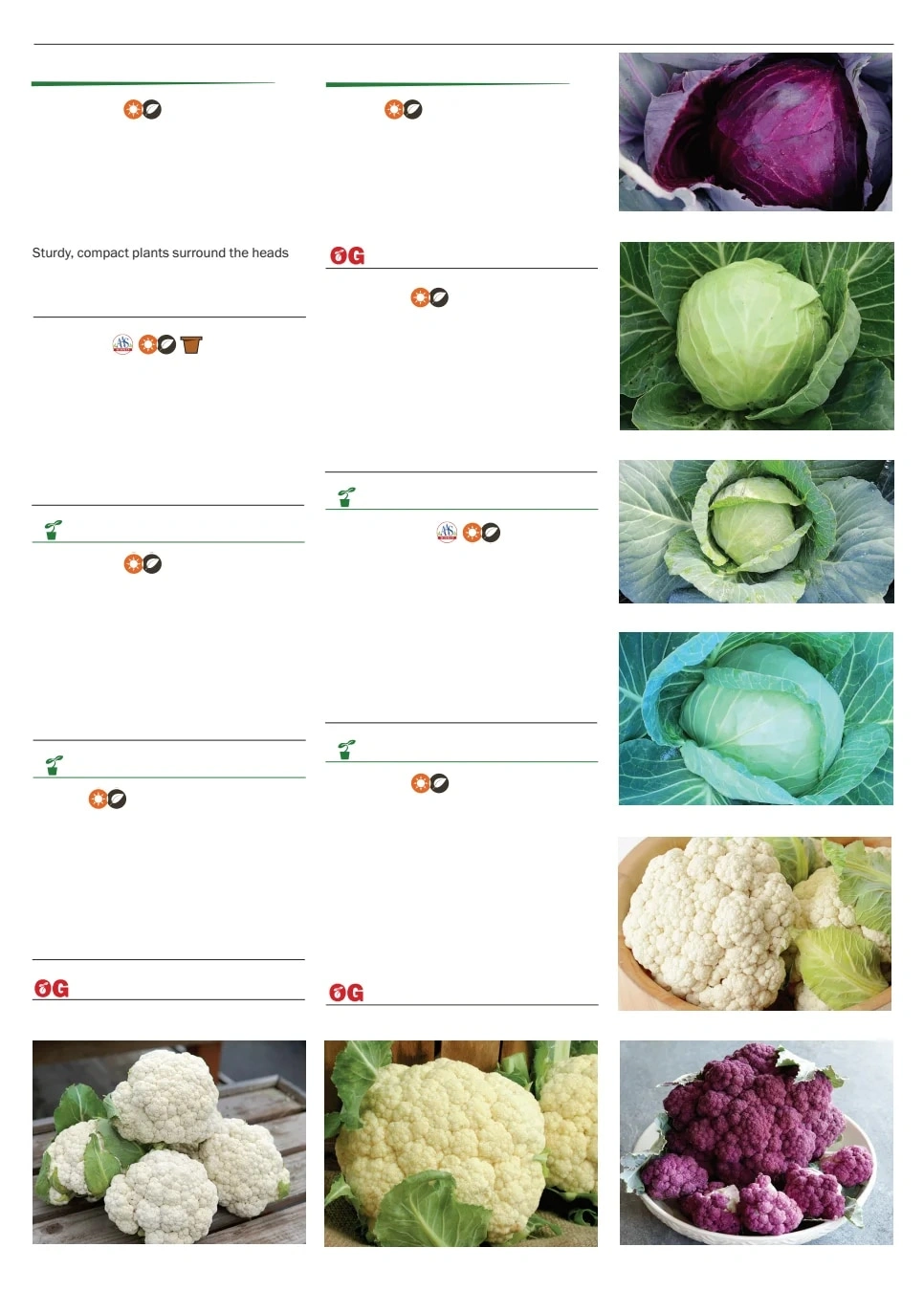 Territorial Seed flyer page 21