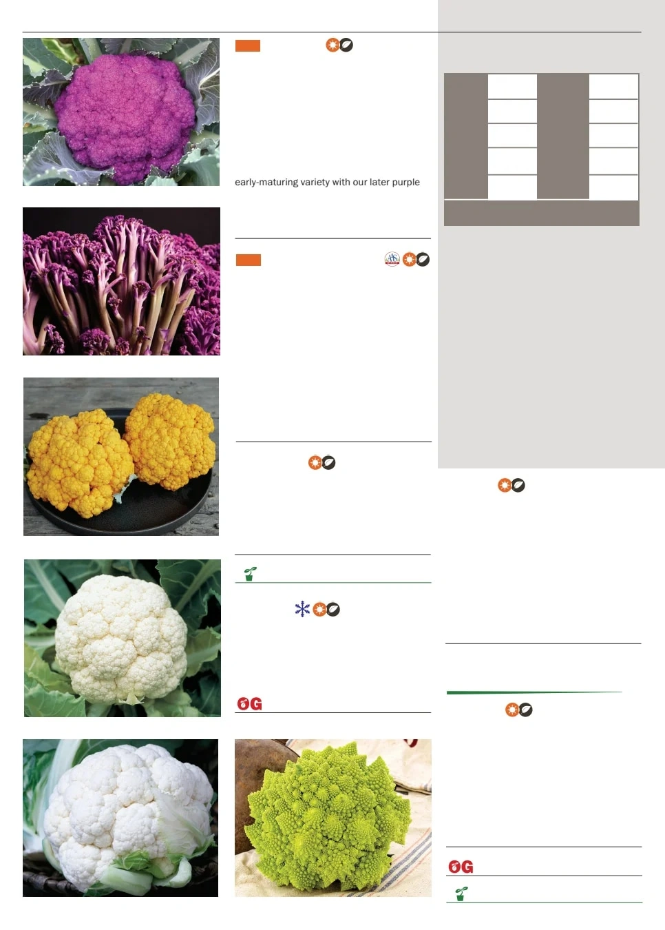 Territorial Seed flyer page 22