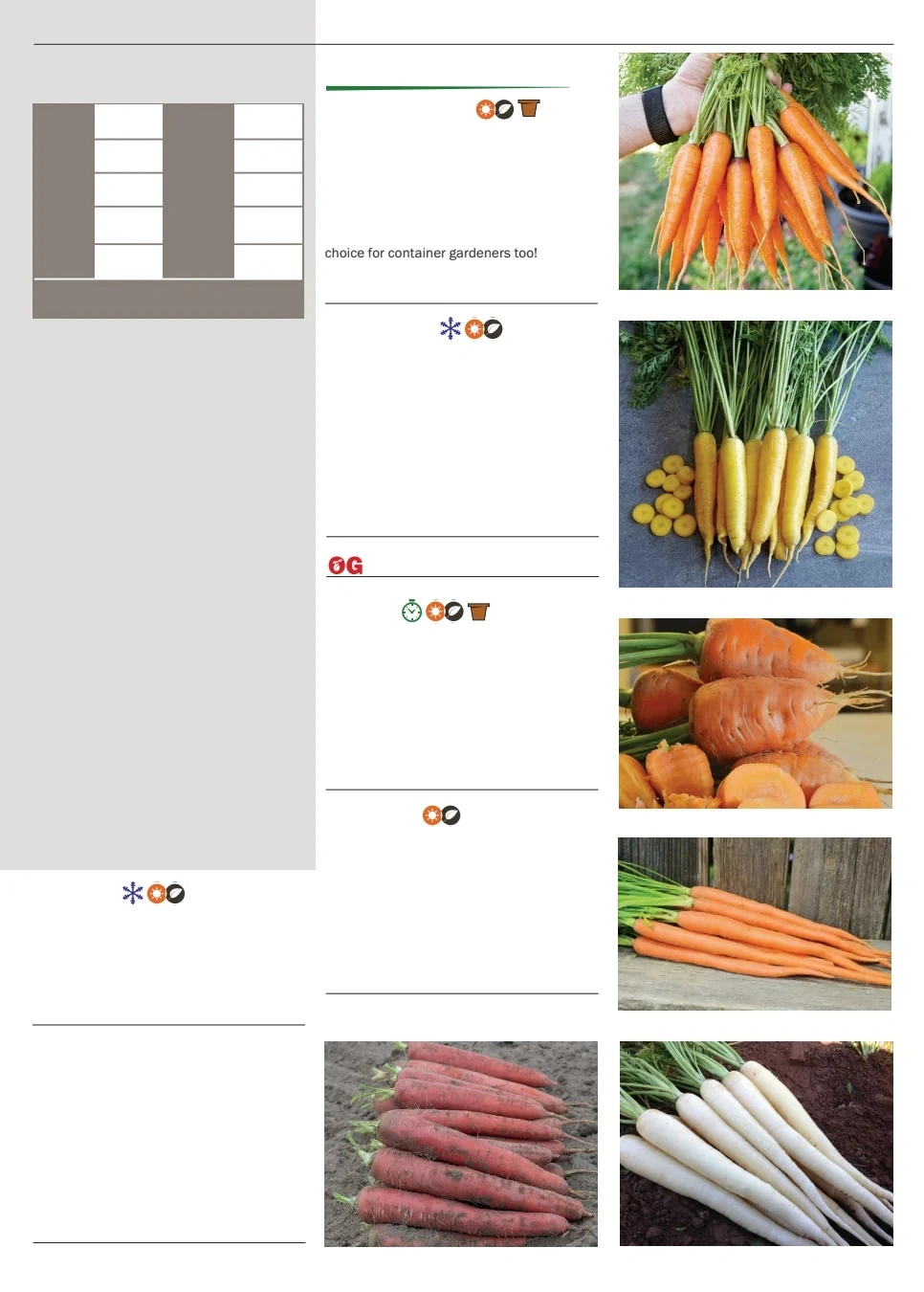 Territorial Seed flyer page 23