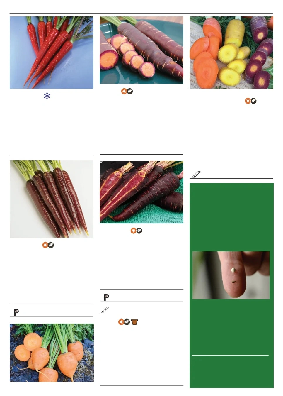 Territorial Seed flyer page 24