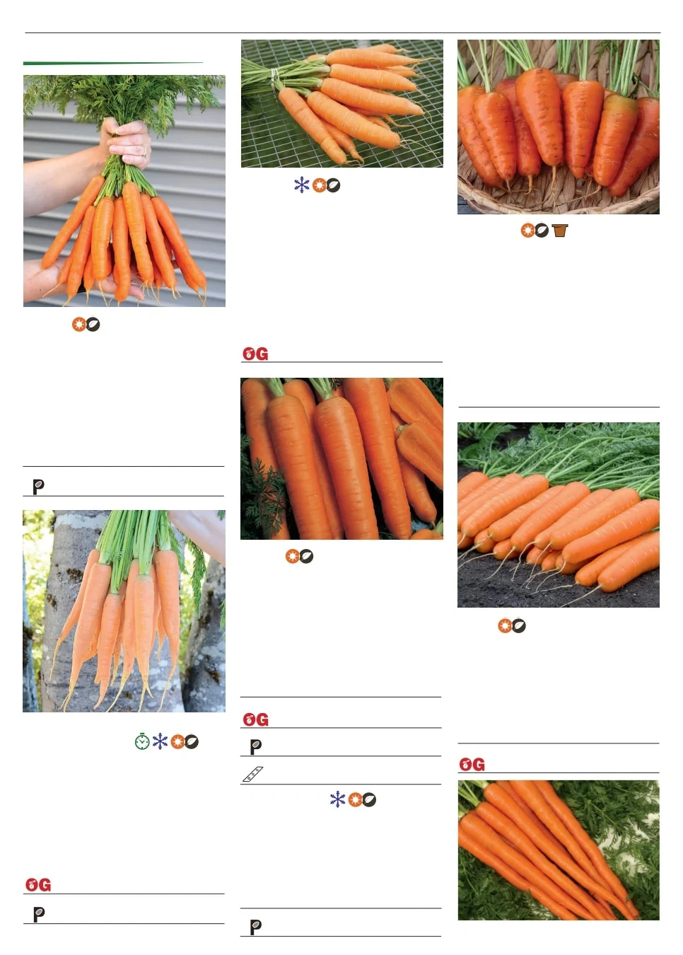 Territorial Seed flyer page 25
