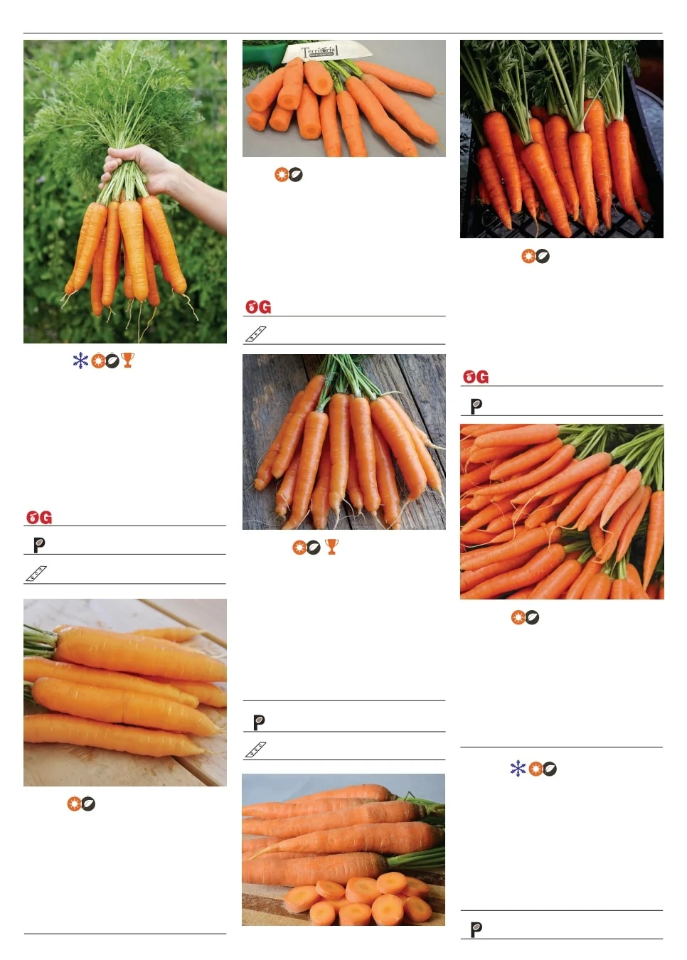 Territorial Seed flyer page 26
